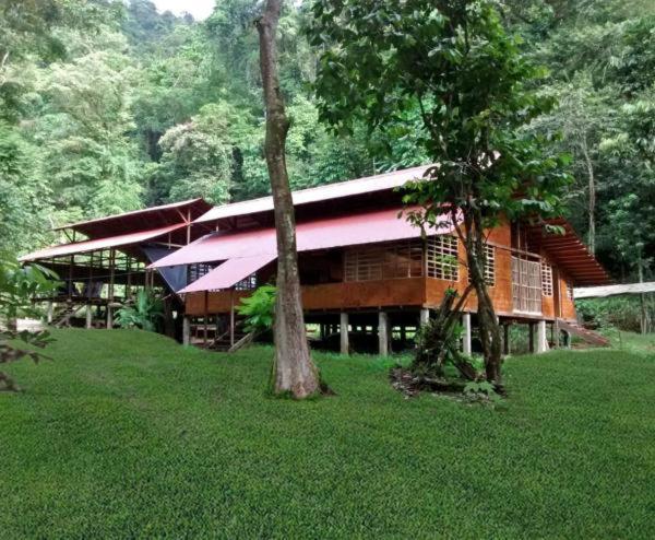 Safio. Una Casa En El Paraiso. Нуки Экстерьер фото